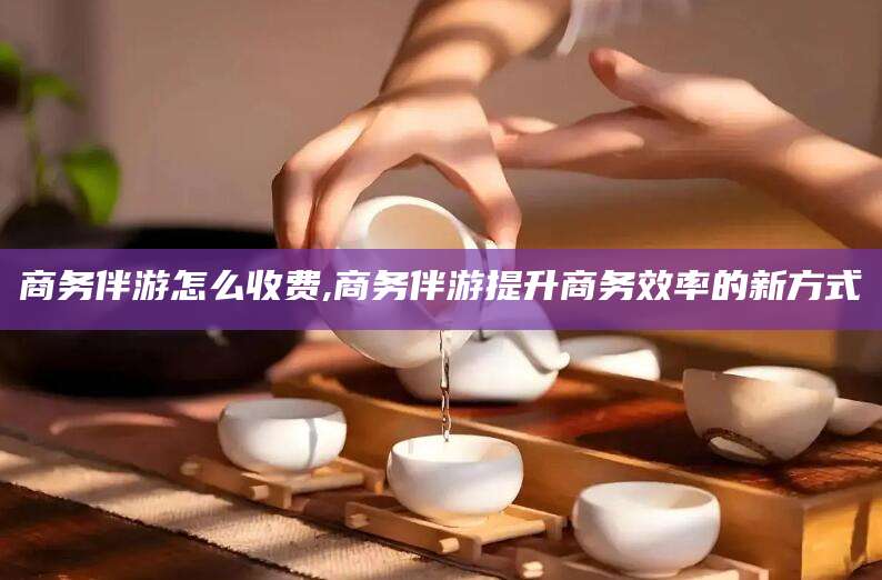 铜仁商务伴游怎么收费,商务伴游提升商务效率的新方式